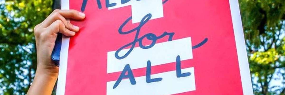 The Biggest Moments of 2017 in the Fight for Universal Healthcare