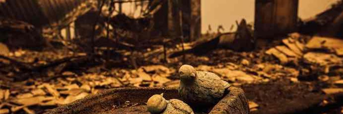 Fires Ravaging US West a 'Bellwether of the Future,' Says Oregon Governor as Half a Million Residents Evacuate