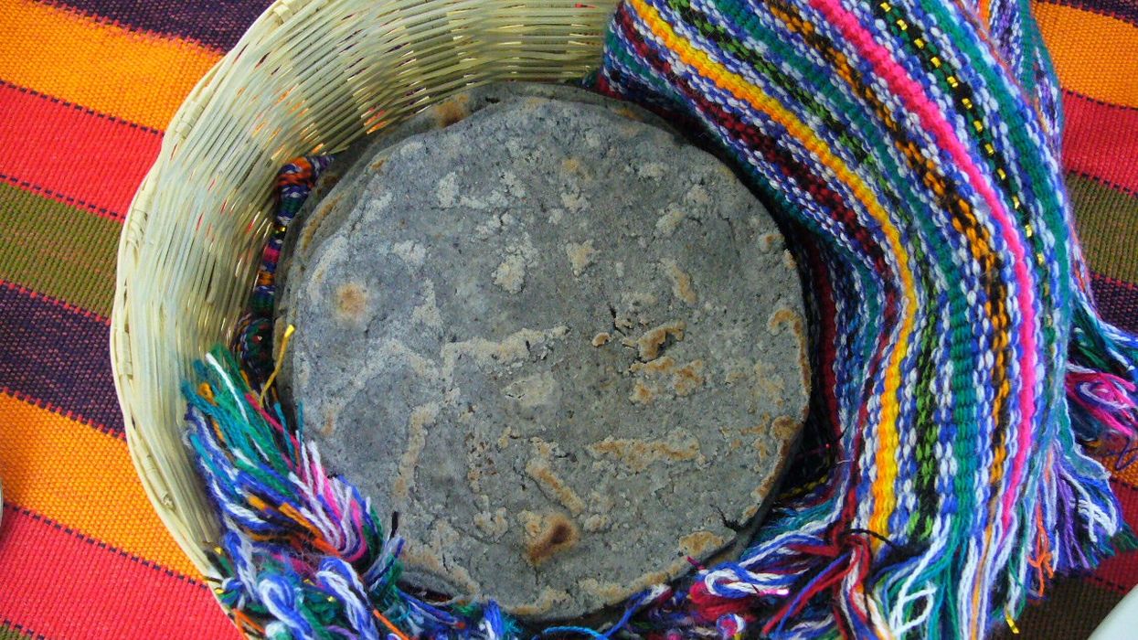 A blue corn tortilla.