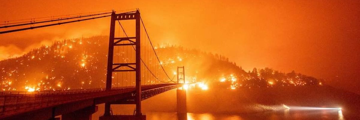 Climate Emergency Persists as 2020 Ties for Earth's Hottest Year on Record