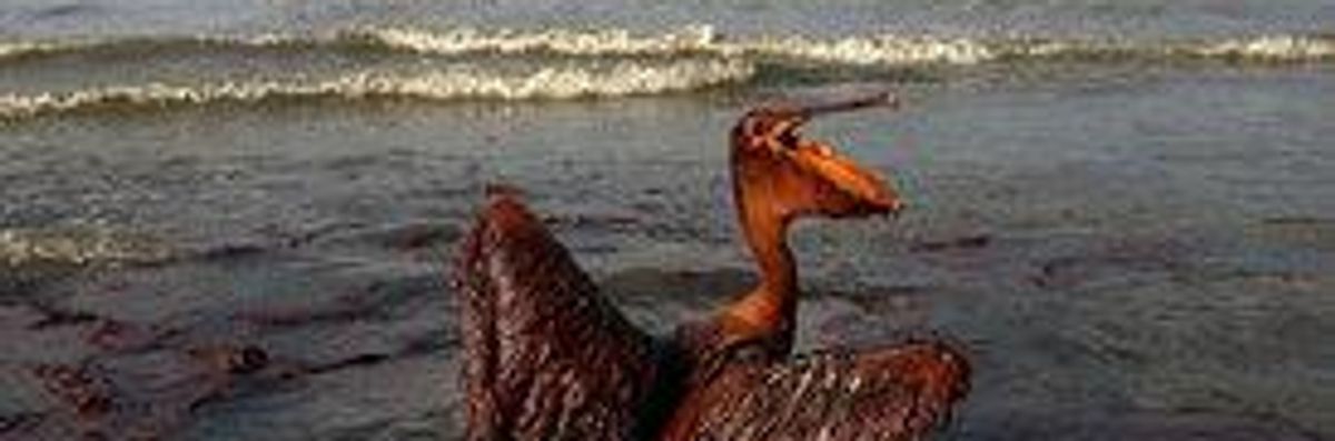 Has BP Really Cleaned Up the Gulf Oil Spill?