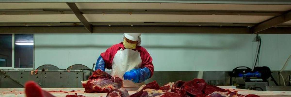 Pandemic in the Plants. The Meat Plants, That Is