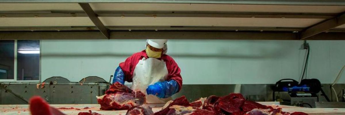 Pandemic in the Plants. The Meat Plants, That Is