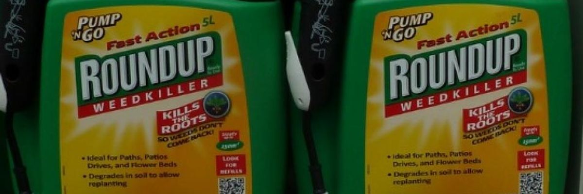 'Guilty on All Counts!': In Historic Victory, Monsanto Ordered to Pay $289 Million in Roundup Cancer Lawsuit