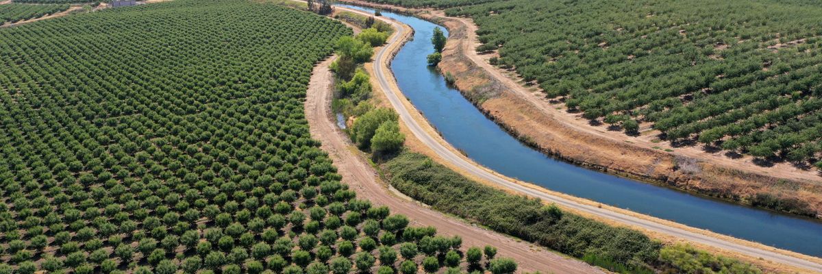 A canal in California separating two almond orchards