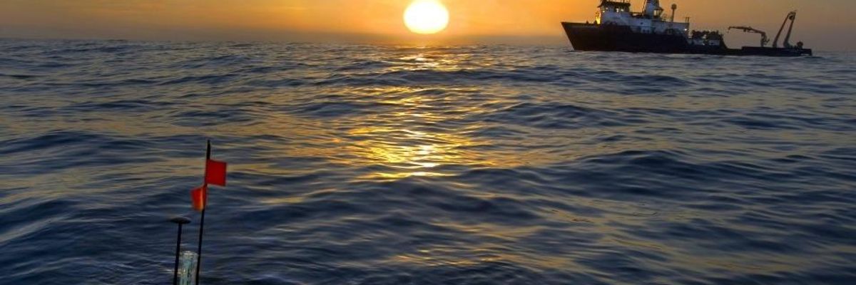 Experts Urge World Leaders to 'Put Marine Ecosystems at the Heart of Climate Policy'