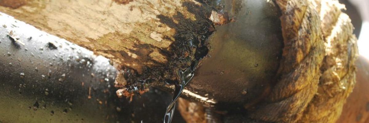 A close-up of a leaking pipeline, stuffed with a tree to stem the oil flow