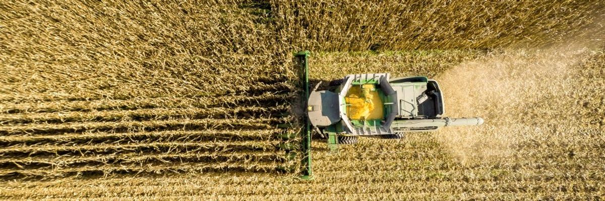 A combine harvests corn in a field near Jarrettsville, Maryland.