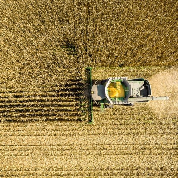 A combine harvests corn in a field near Jarrettsville, Maryland.