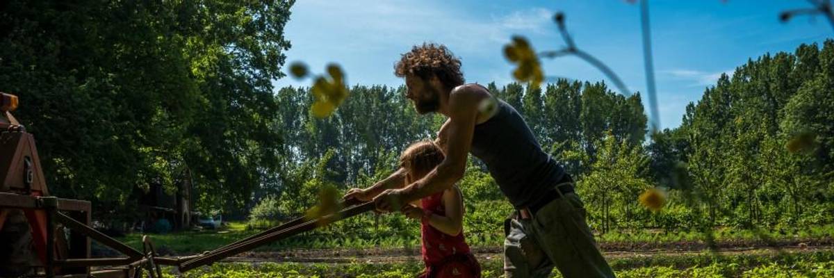 'Regenerative Agriculture and the Soil Carbon Solution': New Paper Outlines Vision for Climate Action