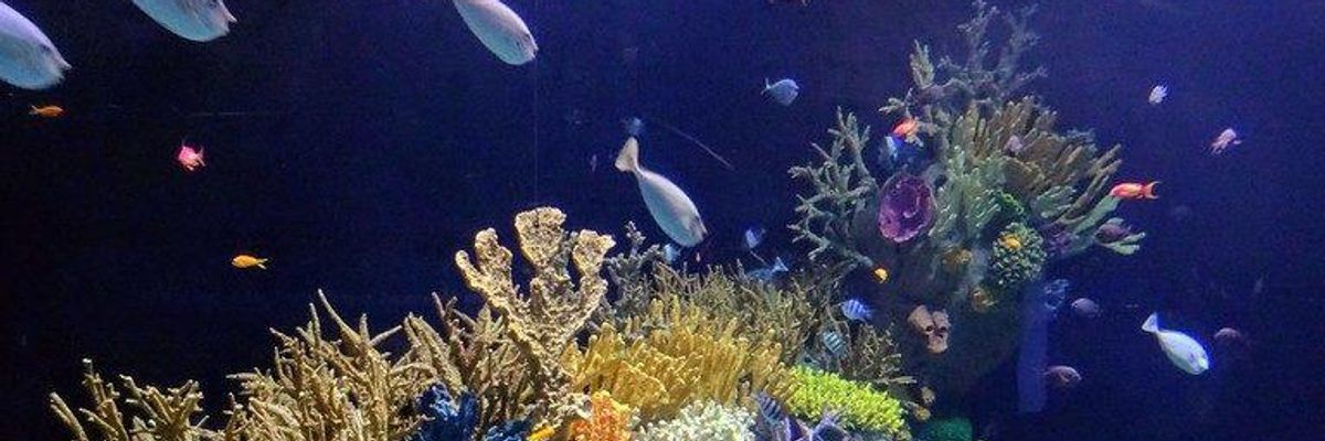 Studies Reveal Climate Tipping Points Could Be Here Much Sooner Than We Thought