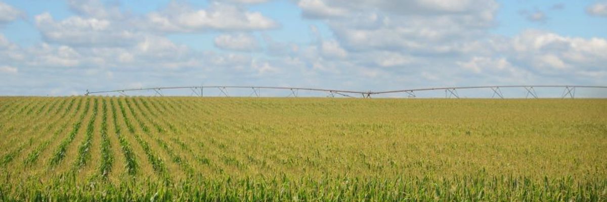 Notorious 'Neonics' Pervasive in Midwest Waters: Study