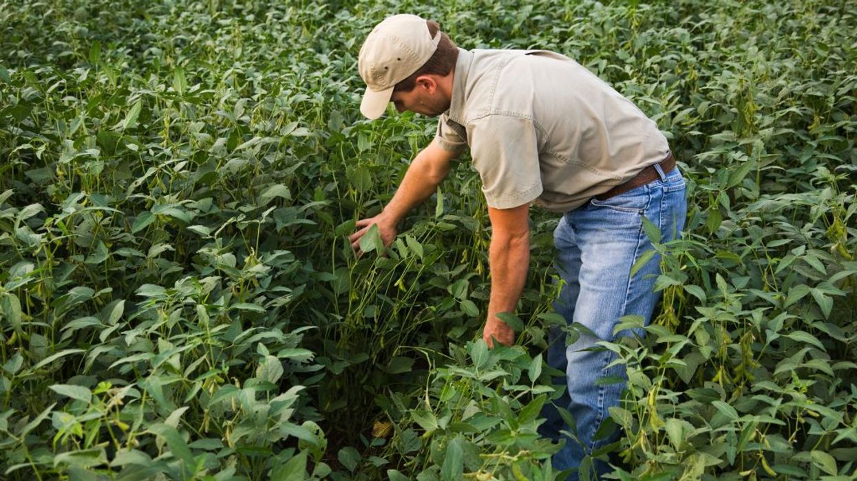 Decimated by Tariffs, US Farmers Warn Trump Bailout Not Nearly Enough to Erase Pain He Caused