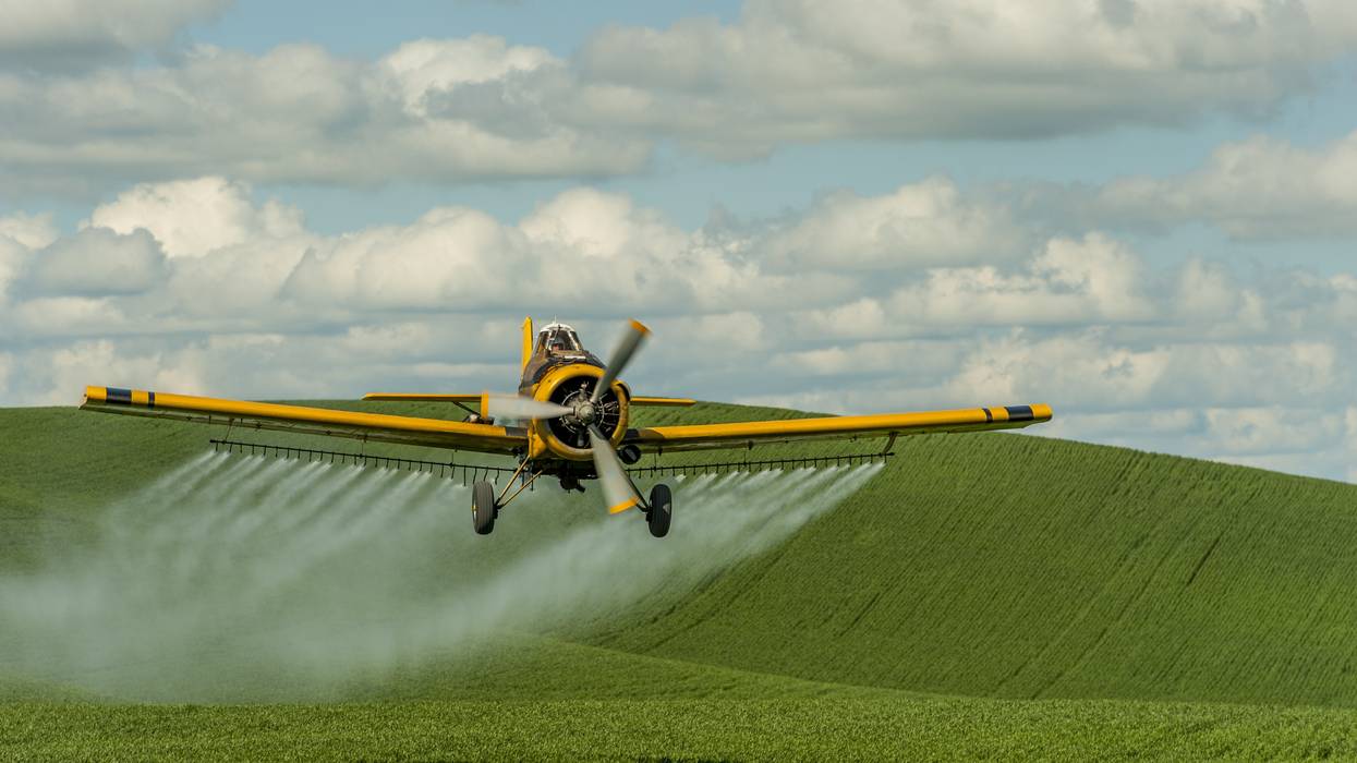 A crop duster is spraying fields near Pullman in Whitman County in the Palouse, Washington State, USA.