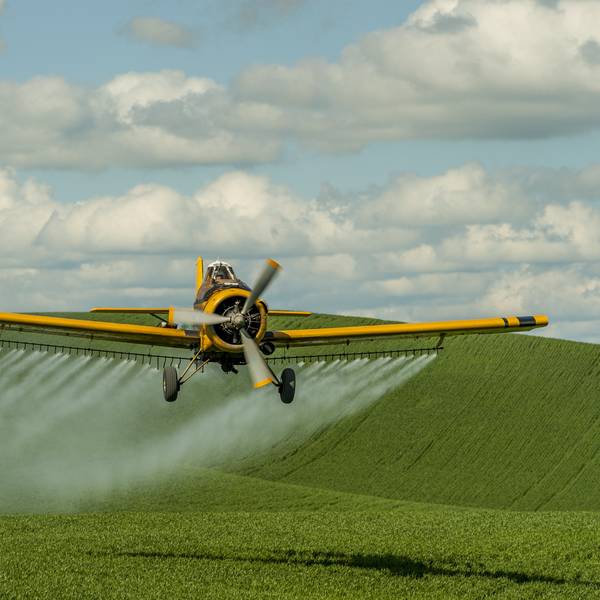 A crop duster is spraying fields near Pullman in Whitman County in the Palouse, Washington State, USA.
