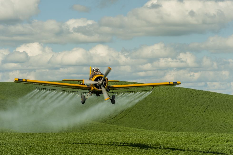Vermont Applauded for Banning Parkinson's-Linked Neurotoxic Herbicide Paraquat