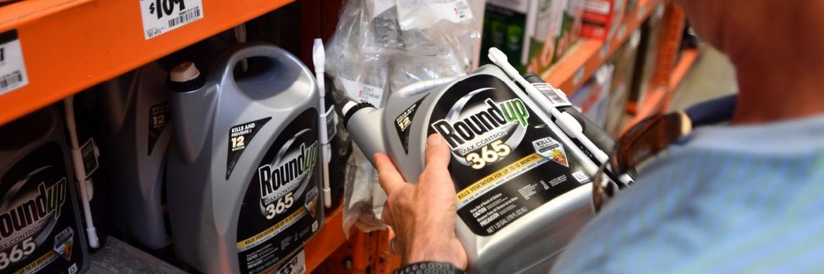 'Reckoning for Roundup Rolls On': Ninth Circuit Court Upholds Verdict in Case Against Monsanto