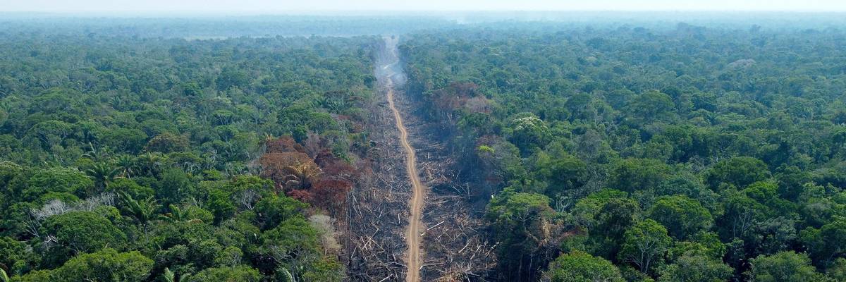 A deforested and burnt area is seen on a stretch of the BR-230 Transamazonian Highway in Humaitá, Amazonas State, Brazil, on September 16, 2022.
