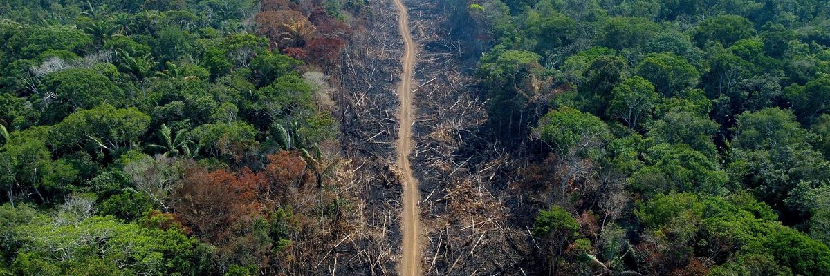 A deforested and burnt area is seen on a stretch of the BR-230 Transamazonian Highway in Humaitá, Amazonas State, Brazil, on September 16, 2022.