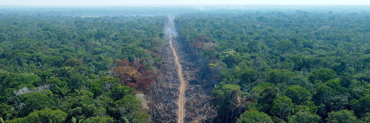 A deforested and burnt area is seen on a stretch of the BR-230 Transamazonian Highway in Humaitá, Amazonas State, Brazil, on September 16, 2022.