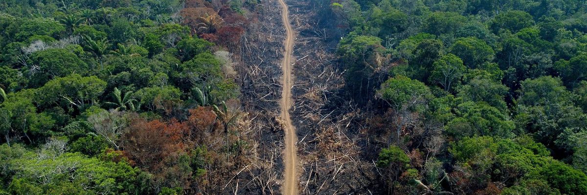 A deforested and burnt area is seen on a stretch of the BR-230 Transamazonian Highway in Humaitá, Amazonas State, Brazil, on September 16, 2022.