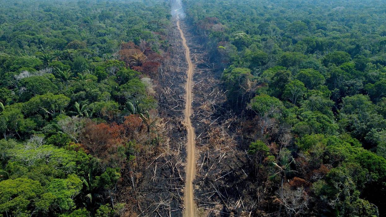 A deforested and burnt area is seen on a stretch of the BR-230 Transamazonian Highway in Humaitá, Amazonas State, Brazil, on September 16, 2022.