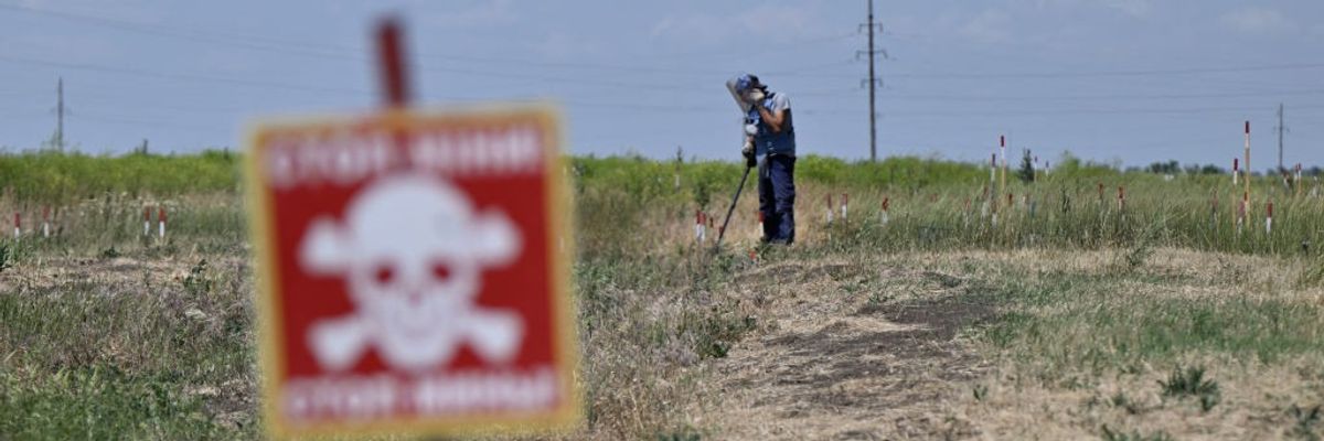 A deminer from the HALO Trust NGO clears mines in a field