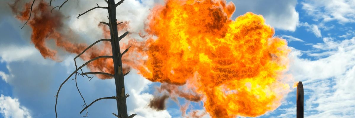 A dried tree against the background of an oil torch