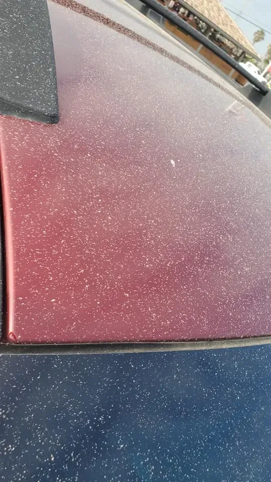 A dust-spattered car