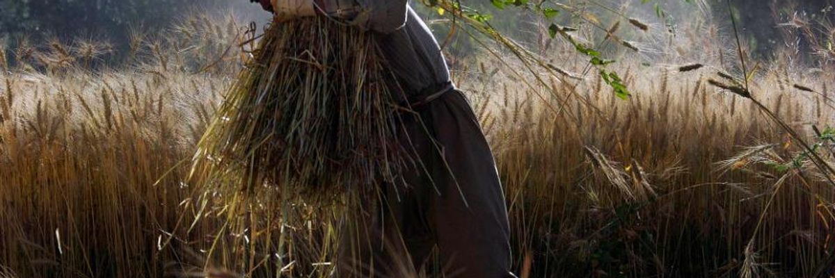 Climate Crisis to Cause Hundreds of Millions of Dangerous Nutrient Deficiencies--in Countries Least Responsible for Emissions