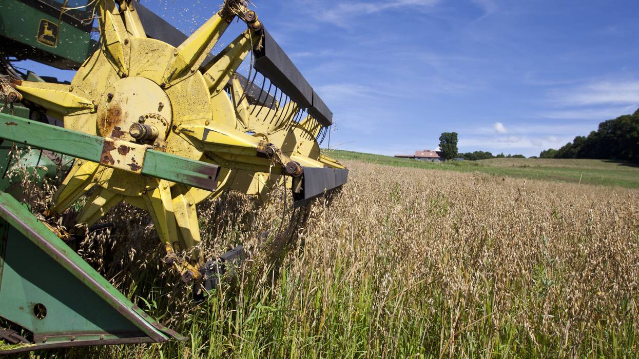 A farmer harvesting oats.
