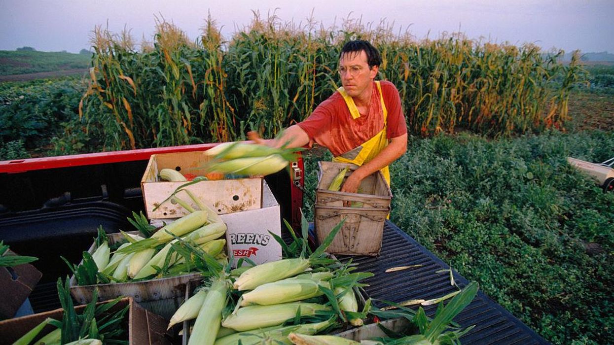 Mexico Wants to Import Non-GMO Corn and US Farmers Say They Can Deliver It
