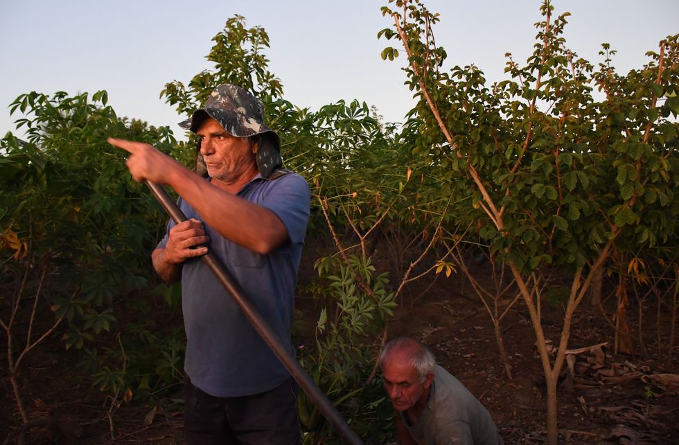 A farmer leans on a tool and looks to the horizon.
