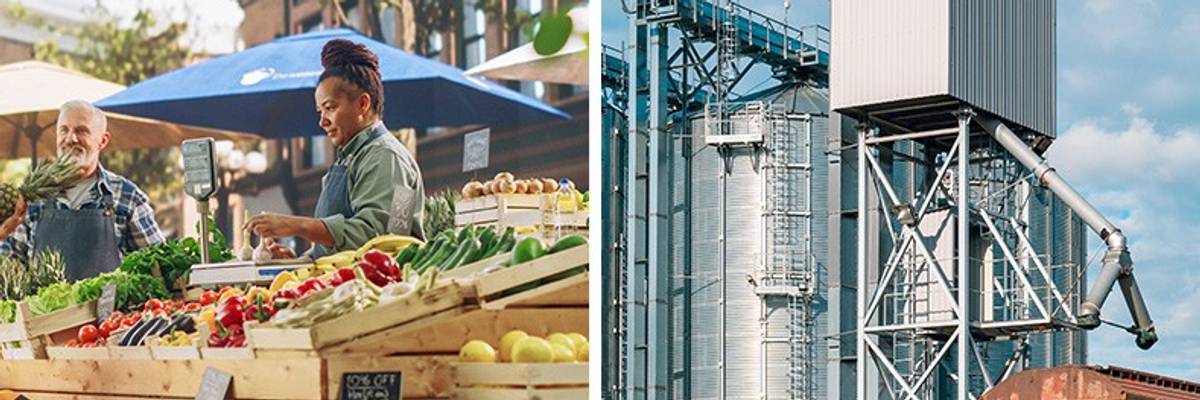 A farmer's market is shown next to a shipping container. 