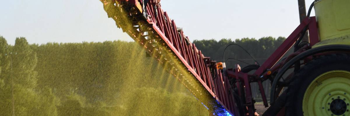 A farmer sprays Roundup on a field of no-till corn in Piace, France