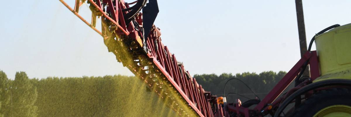 A farmer sprays Roundup on a field of no-till corn in Piace, France
