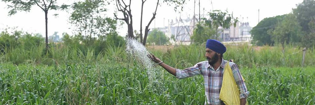 Risk of 'Significant and Severe' Food Crisis If Strait of Hormuz Remains Shut, Says Top UN Official