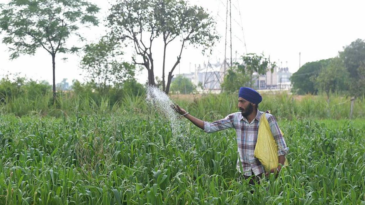 Risk of 'Significant and Severe' Food Crisis If Strait of Hormuz Remains Shut, Says Top UN Official