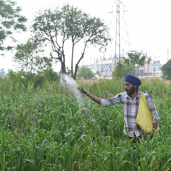 Risk of 'Significant and Severe' Food Crisis If Strait of Hormuz Remains Shut, Says Top UN Official