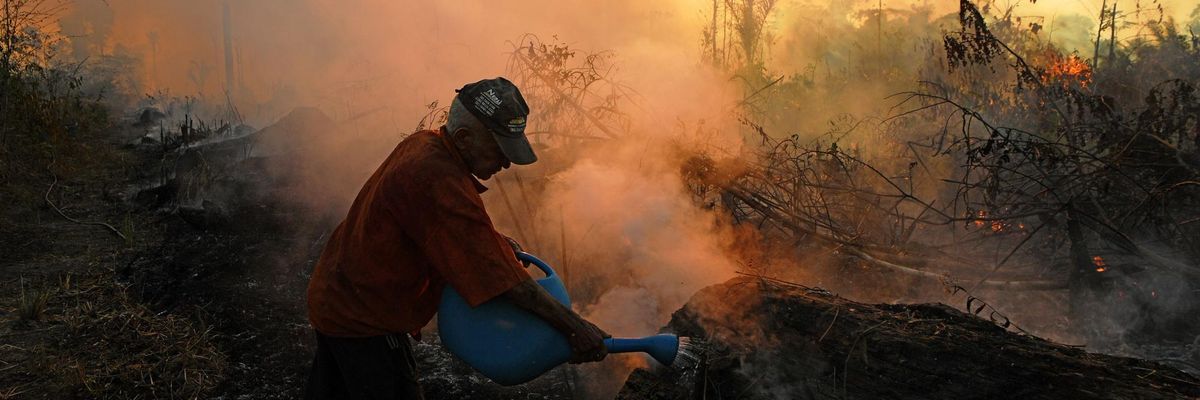 As UN Biodiversity Talks Begin, 360+ Groups Blast Corporate-Backed 'Nature-Based Solutions'