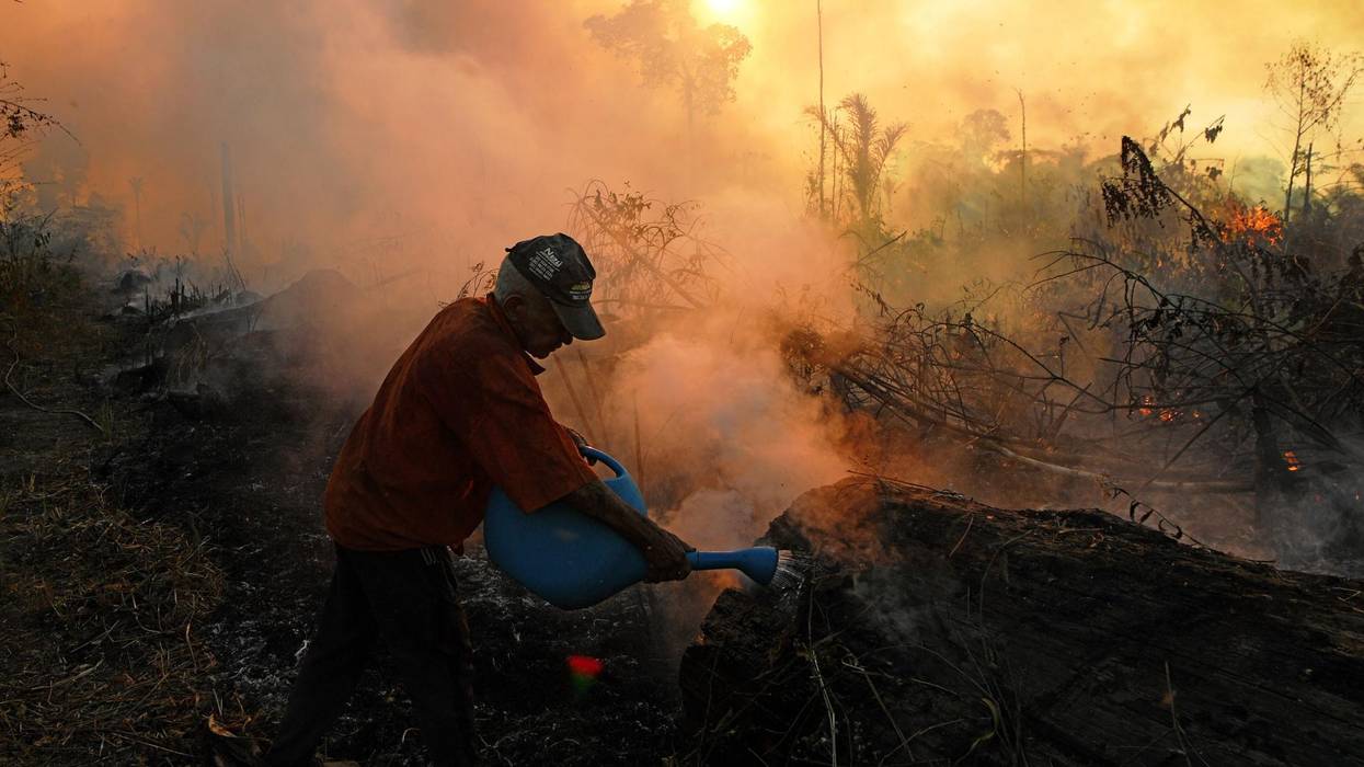 As UN Biodiversity Talks Begin, 360+ Groups Blast Corporate-Backed 'Nature-Based Solutions'