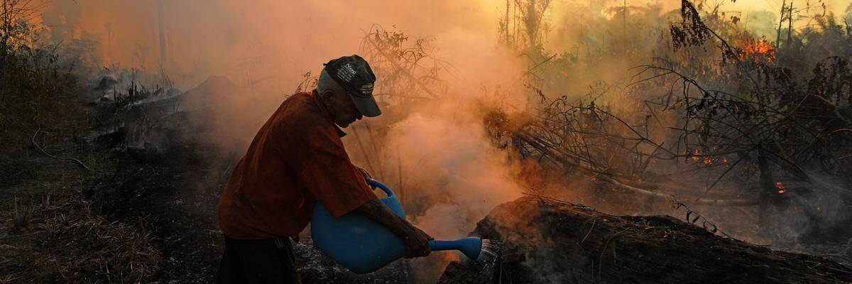 Our Health Depends on Indigenous Botanical Knowledge and Plants That Are Rapidly Being Destroyed