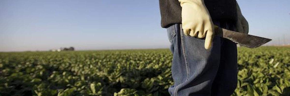 Why Mexico's Farmworkers Who Harvest Our Food Are on Strike