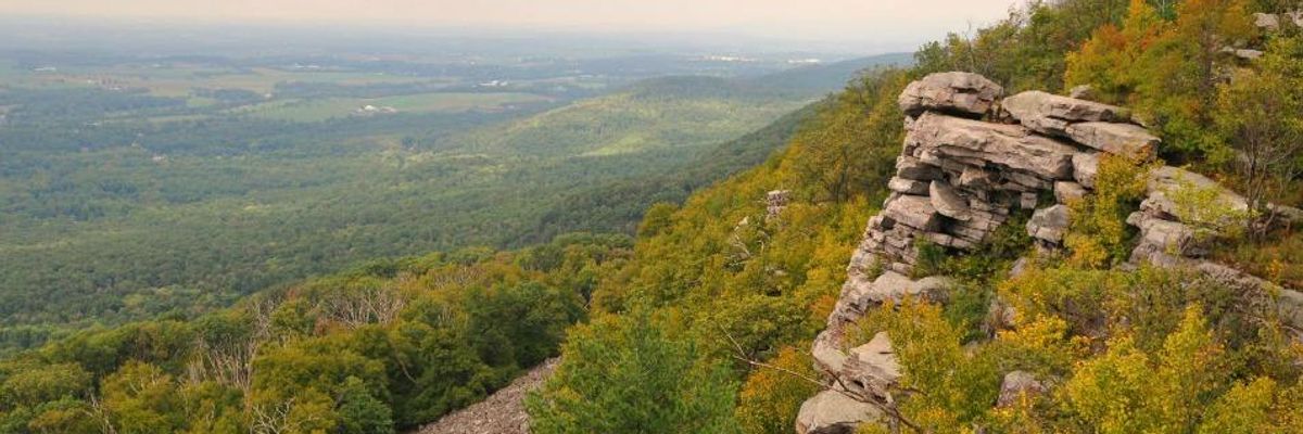 Quoting Dr. Seuss, Court Throws Out Pipeline Permit and Implores Forest Service to 'Speak for the Trees' Instead of Corporate Polluters