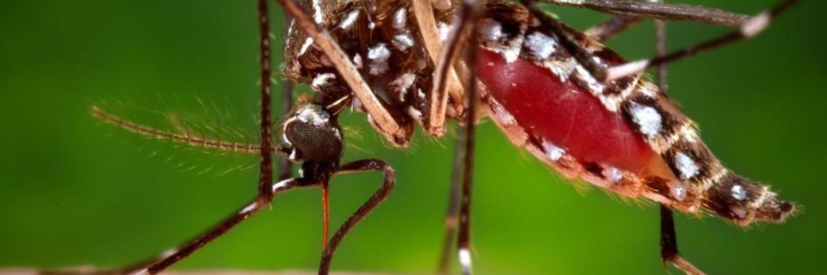 What the Media and Congress Are Missing on Zika and Poverty