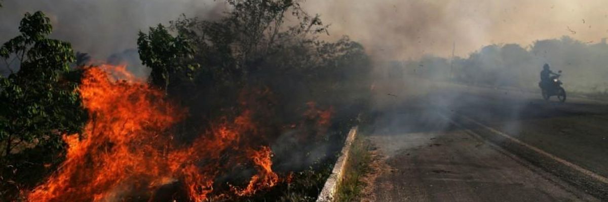 Brazil's Bolsonaro--Outspoken Proponent of Deforestation--Denounced as 'Sick' and 'Pathetic' for Blaming Amazon Forest Fires on NGOs