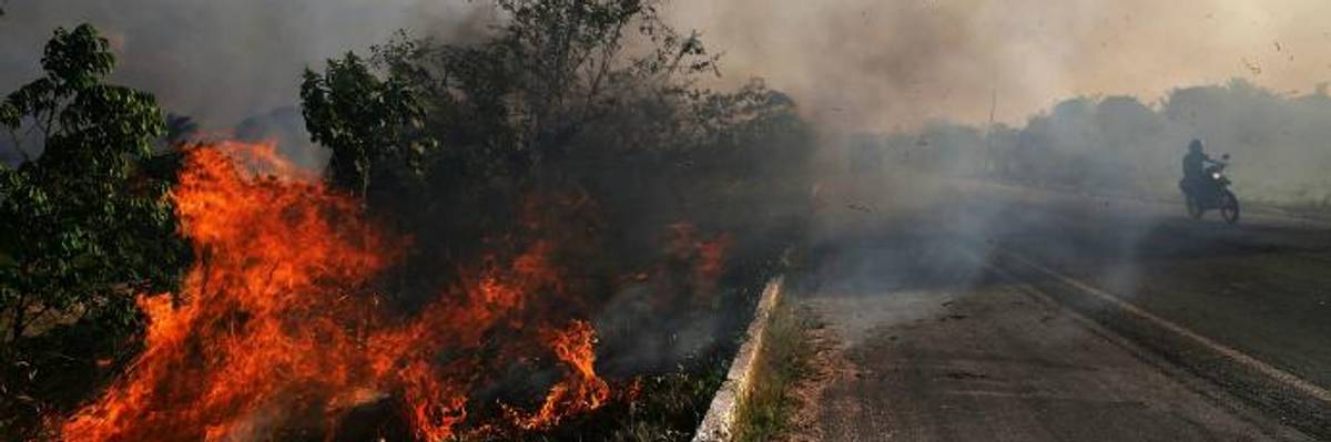 Terrifying Trends Collide as Surging Deforestation 'Making World a Hotter, Drier Place'