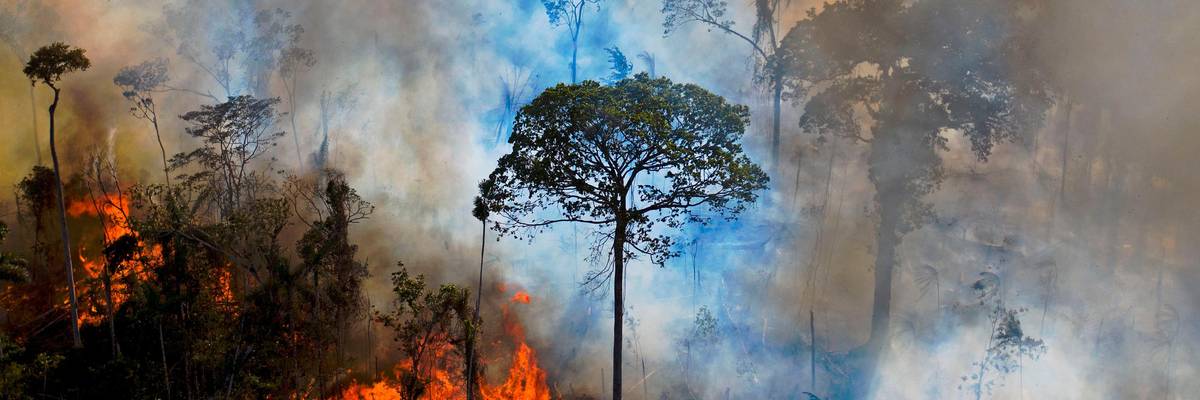A fire burns in the Amazon rainforest