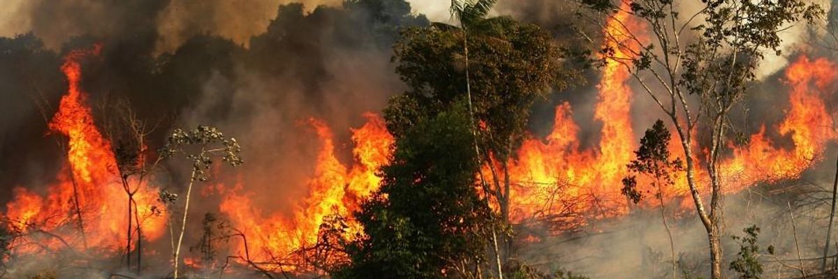 As Fires Rage in World's Largest Rainforest, NASA Warns 'Human Activities Are Drying Out the Amazon'
