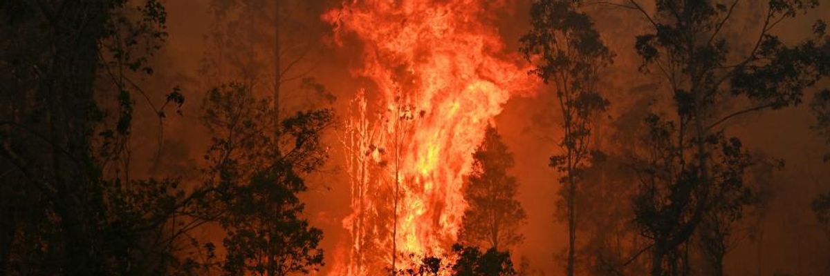 Demands for Bold Climate Action Mount as 'All But Rainless' Australia Faces 'Catastrophic' Fire Danger